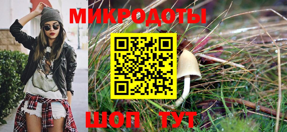 Псилоцибиновые грибы Cubensis Егорьевск