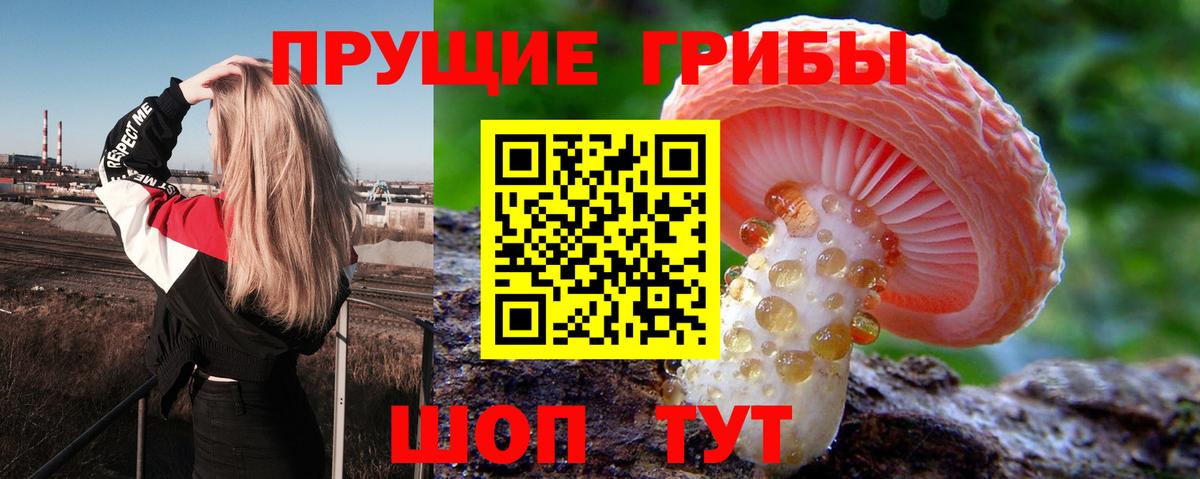 Псилоцибиновые грибы прущие грибы  Вход с VPN  Егорьевск 