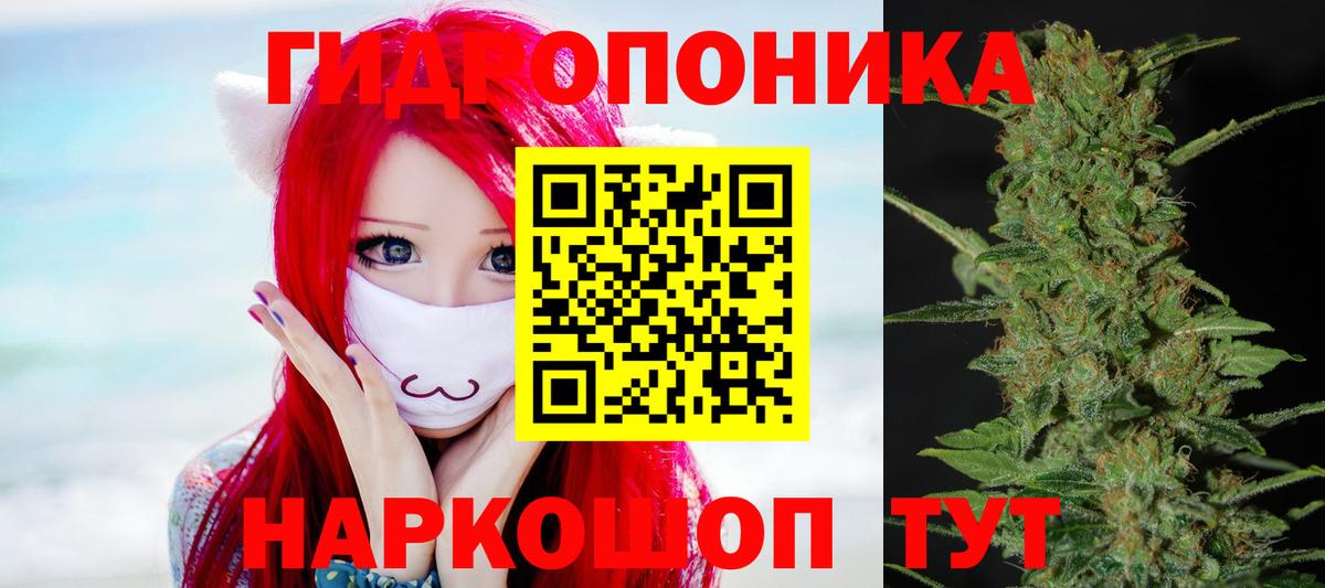 Бошки марихуана White Widow  Каннабис гибрид  Вход с VPN  Каннабис тримм  Марихуана Amnesia  Егорьевск 